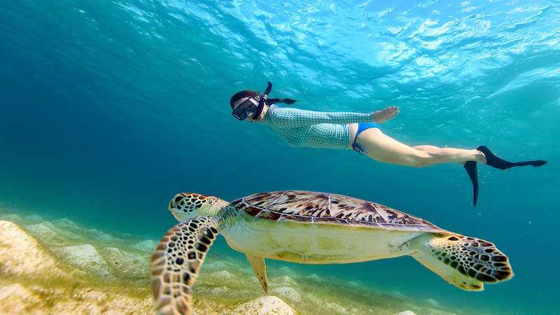 Woman snorkeling with sea turtles while vacationing to Antigua & Barbuda on a yacht charter.