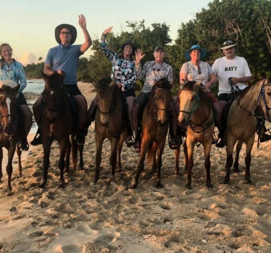 Catamaran_Rapscallion_St. Croix_horses