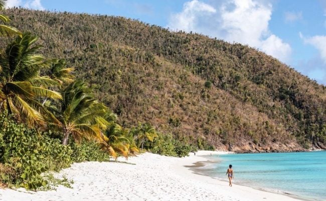 guana_island_beach